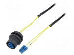 Connector: fiber optic | patchcord | PIN: 2 | bayonet | Buccaneer 6000