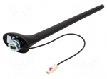 Antenna | car top,automotive | 0.2m | AM,FM | with amplifier | 0.275m