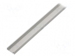 Profiles for LED modules | natural | L: 1m | SURFACE14 | aluminium