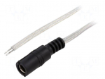 Cable | 2x0.5mm2 | wires,DC 5,5/2,1 socket | straight | transparent