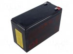 Re-battery: acid-lead | 12V | AGM | maintenance-free | 34W