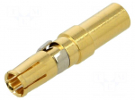 Contact | female | copper alloy | gold-plated | 12AWG&divide;10AWG | crimped