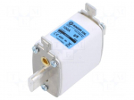 Fuse: fuse | 100A | 800VAC | gS | industrial | NH00