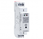 DTCR01t Multifunktsionaalne WiFi TUYA ajarelee 1CO 16A AC/DC 110-230V