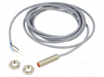 Sensor: inductive