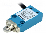 Limit switch | oblong plastic roller &Oslash;12,7mm | NO + NC | 10A | 1m