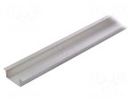 Profiles for LED modules | recessed | natural | L: 1m | aluminium