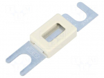 Fuse: fuse | 100A | 80VDC | automotive,strip fuse