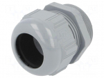 Cable gland | PG36 | IP68 | Mat: polyamide | dark grey