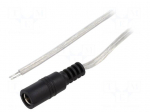 Cable | 2x0.5mm2 | wires,DC 5,5/2,1 socket | straight | transparent