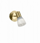Trio Levisto spotlight 1-pc E14  matt brass gaismeklis 871010108 4017807281644
