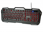 Klaviatuurid ja hiired // Klaviatuurid // 84-214# Klawiatura blow z podświetleniem led cold steel`