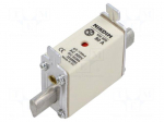 Fuse: fuse | 80A | 500VAC | gG | industrial | NH000