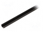 Profiles for LED modules | surface | black | L: 2m | aluminium