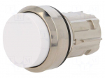 Switch: push-button | Stabl.pos: 1 | 22mm | white | Illumin: none | IP67
