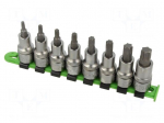 Socket-set | socket spanner,Torx&reg; | Chrom-vanadium steel | 1/2"