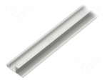 Profiles for LED modules | natural | L: 1m | WAY10 | aluminium
