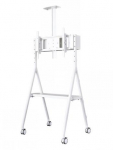 NEWSTAR MOBILE FLAT SCREEN FLOOR STAND (HEIGHT: 110 - 144 CM) 32-65" WHITE