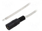 Cable | 2x0.5mm2 | wires,DC 5,5/2,1 socket | straight | transparent