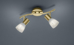Trio Levisto spotlight 2-pc E14 matt brass gaismeklis 871010208 4017807281668