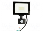 Lamp: LED flood light | 30W | 230VAC | 6400K | CRImin: 80 | 3000lm