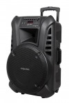 Active Speaker Cabinet (with 2 wireless microphones UHF, SD, Bluetooth, FM, USB) 60 Watt