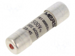 Fuse: fuse | 6A | 500VAC | 250VDC | gG | ceramic,cylindrical,industrial