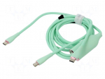 Cable | USB 2.0 | USB C plug,USB C plug x2 | nickel plated | 1.5m