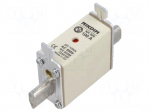 Fuse: fuse | 100A | 500VAC | gG | industrial | NH000