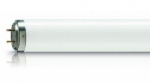 PHILIPS spuldze TL 140W/03 928012700303 8711500720948