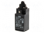 Limit switch | plastic roller | 10A | max.240VAC | max.250VDC | G 1/2"