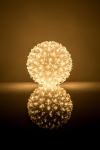 Lights for indoor use iLike Bumba ar puķēm RS-209 100LED D-14cm Warm White