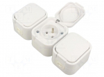 Connector: AC supply | socket | 2P+PE | 250VAC | 16A | grey | wall mount