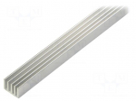 Heatsink: extruded | grilled | natural | L: 1000mm | W: 19mm | H: 14mm