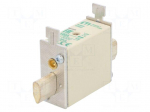 Fuse: fuse | aM | 100A | 500VAC | ceramic,industrial | NH00C | WT-NH