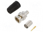 Connector: BNC | plug | male | straight | 75&Omega; | crimped | Contacts: brass