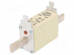 Fuse: fuse | 50A | 500VAC | gG | industrial | NH1C