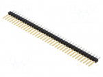 PIN: 36 | male | 2.54mm