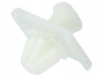 Moulding clip | 10pcs | Mercedes | OEM: 19884481 | polyamide | natural