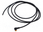 Cable: for sensors/automation | M8 | PIN: 4 | angled | 2m | plug | 60VDC