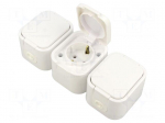 Connector: AC supply | socket | 2P+PE | 250VAC | 16A | white | wall mount