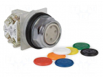 Switch: push-button | 30mm | Stabl.pos: 1 | NO | none | IP66 | 9001K | Pos: 2