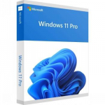 MICROSOFT WINDOWS 11 PRO ENG OEM