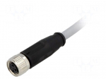 Connector: M8 | female | PIN: 3 | straight | with lead | plug | 2m | PVC