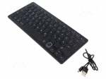 Keyboard | black | USB A | wireless,DE layout,slim | with LED | 10m
