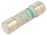 Fuse: fuse | 40A | 500VAC | aM | ceramic | 14x51mm