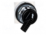 Switch: rotary | 30mm | Stabl.pos: 2 | black | none | IP66 | witout symbol