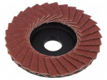 Flap grinding wheels | 50mm | Granularity: 100