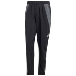 Men's pants adidas Tiro 24 Competition Presentation black-gray IP5595 S