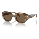 P&auml;ikeseprillid EMPORIO ARMANI MEESTELE EA4230U614973 (L&auml;&auml;ts/Sild/Tagaosa) 48/25/145 mm